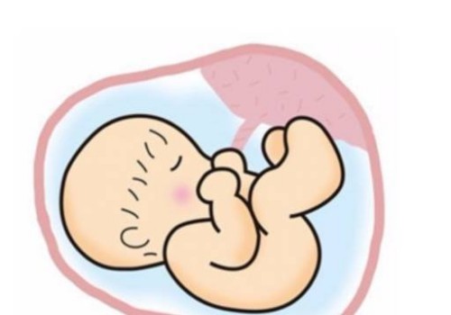 右手脉博有力代表生儿子是真的吗？脉搏状态与胎儿性别无关