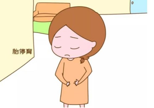 8a细胞胚胎也可能移植失败，跟这些原因有关