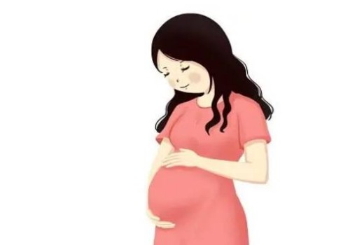 准妈妈知识必备-自然流产后多久可以再怀孕-