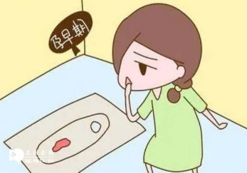 台湾省做试管婴儿政策更宽松？和内陆做试管婴儿没有太大区别